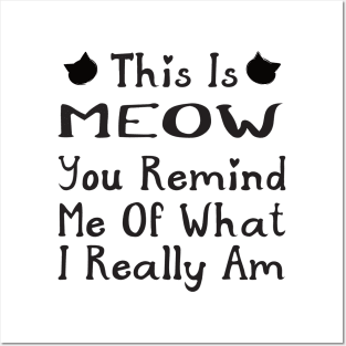 Funny Cat This is Meow You Remind Me Posters and Art